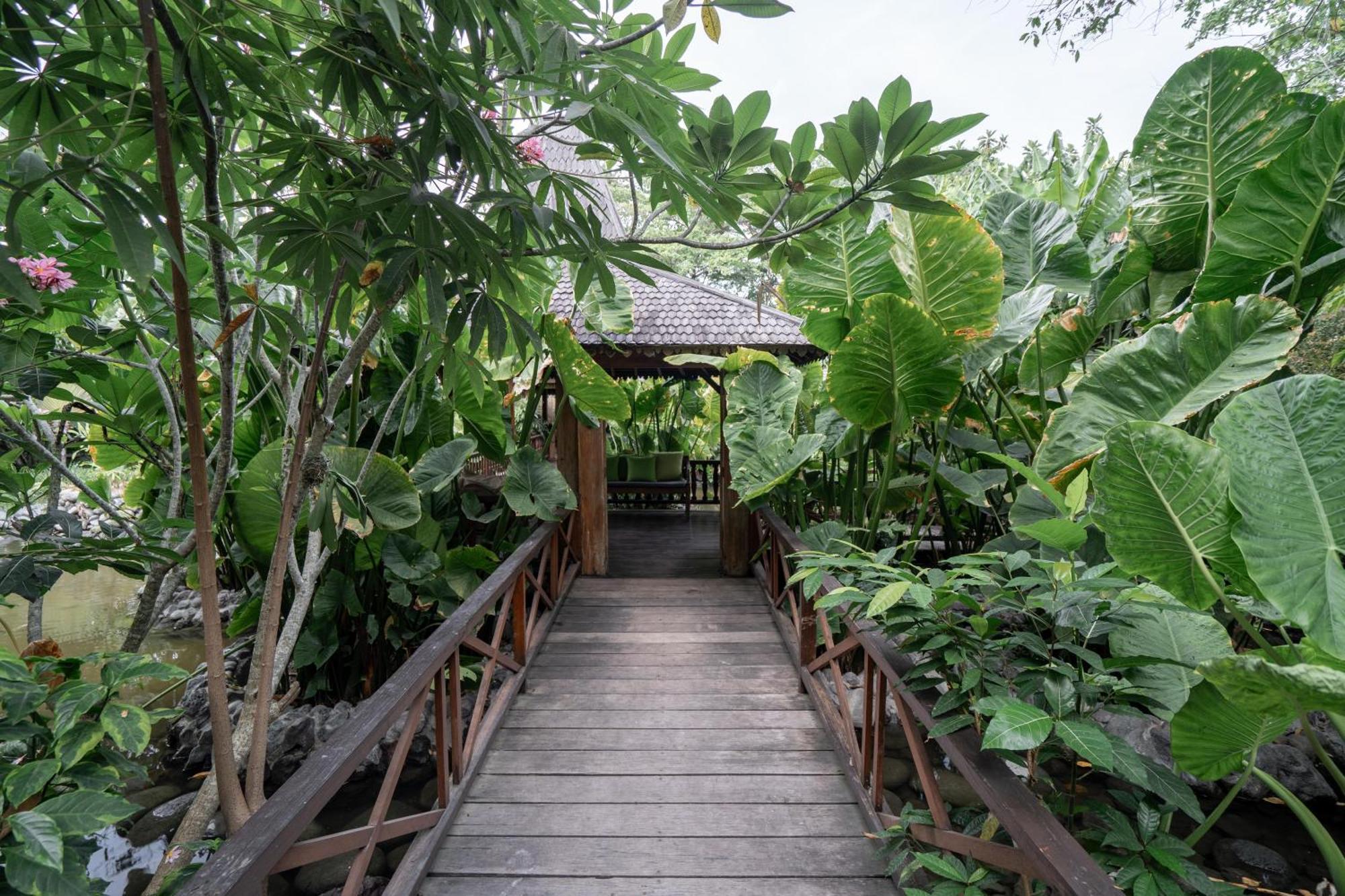 Kropak Canggu 外观 照片